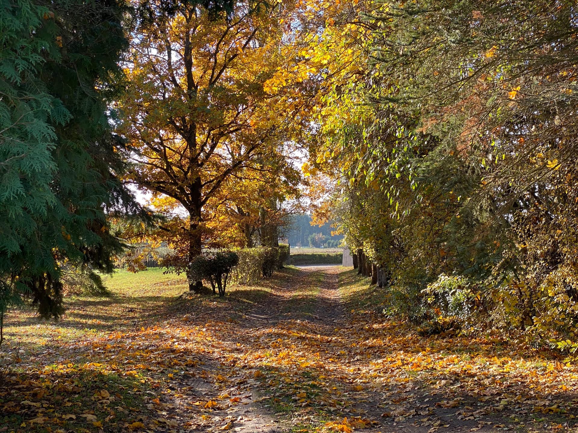 Park - zajęcia plenerowe