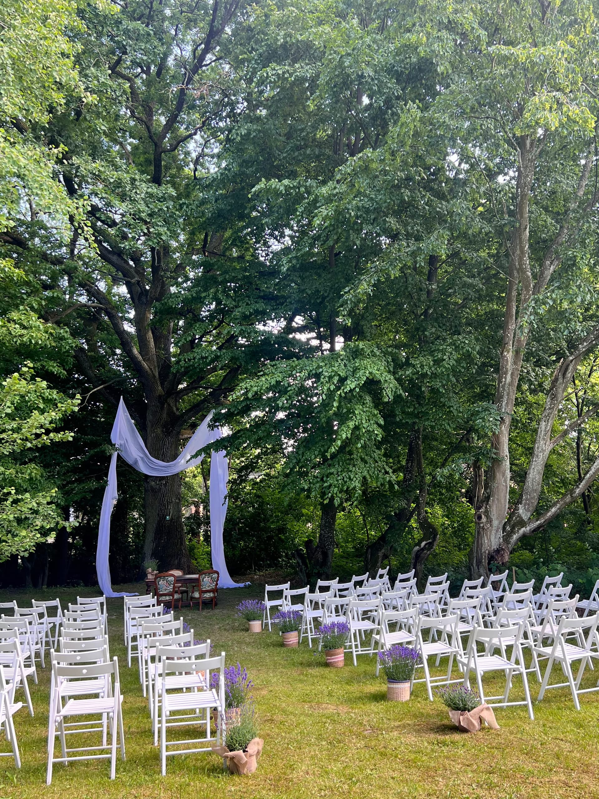 Ceremonia ślubna pod dębem pomnikiem przyrody